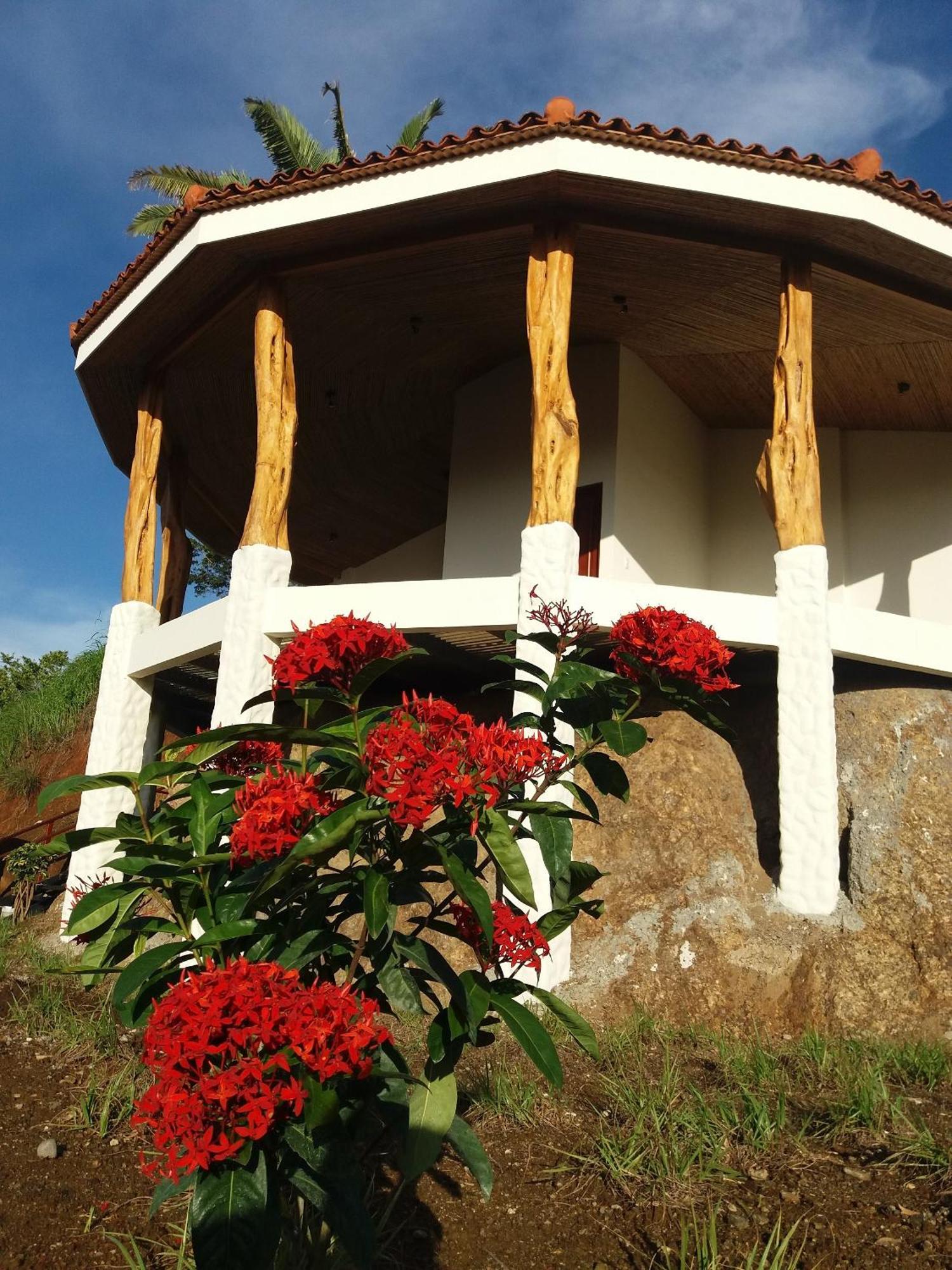 Hotel Peace & Lodge Sámara 外观 照片