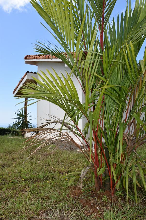 Hotel Peace & Lodge Sámara 外观 照片